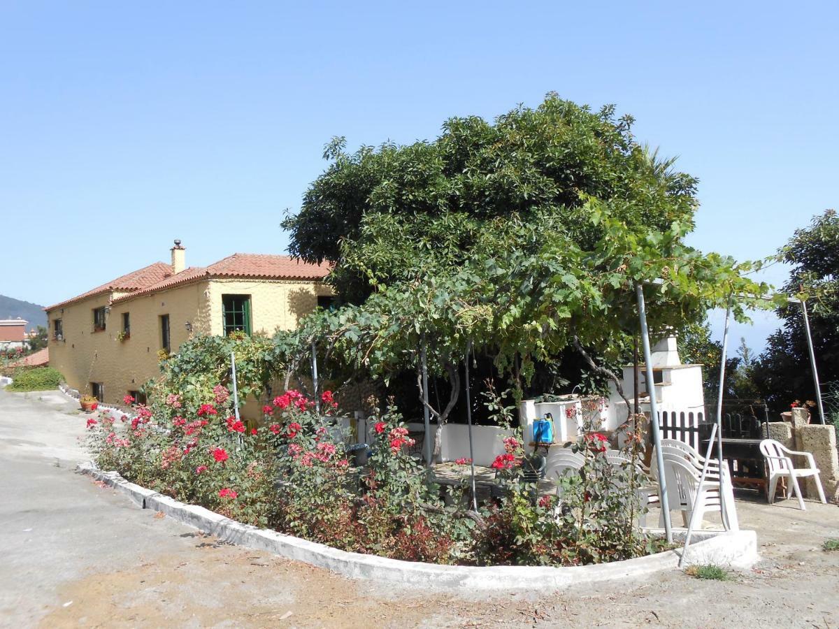 Casitas Las Uvas Y Las Vinas Los Realejos Zewnętrze zdjęcie