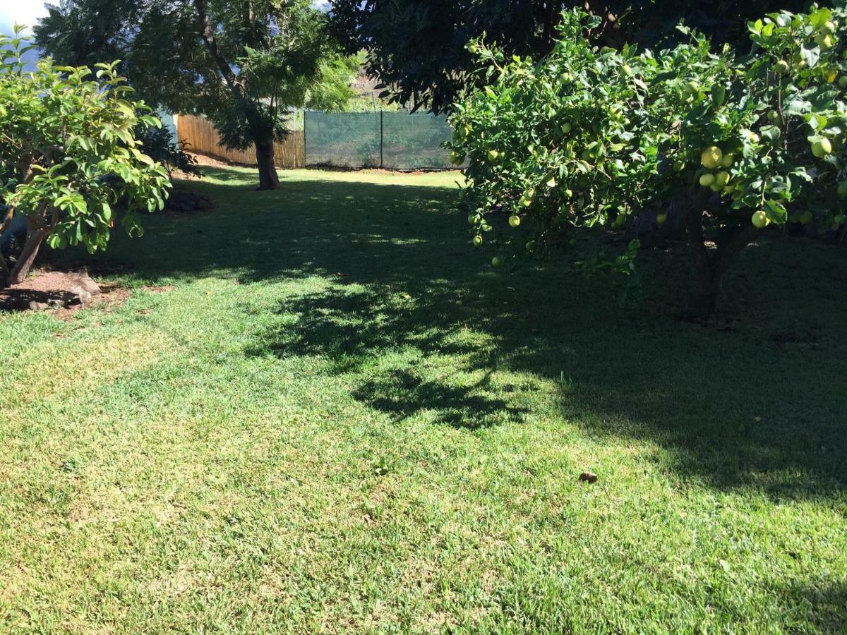 Casitas Las Uvas Y Las Vinas Los Realejos Zewnętrze zdjęcie